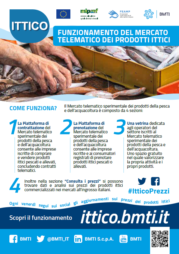 volantino bmti
