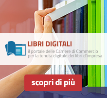 https://libridigitali.camcom.it/