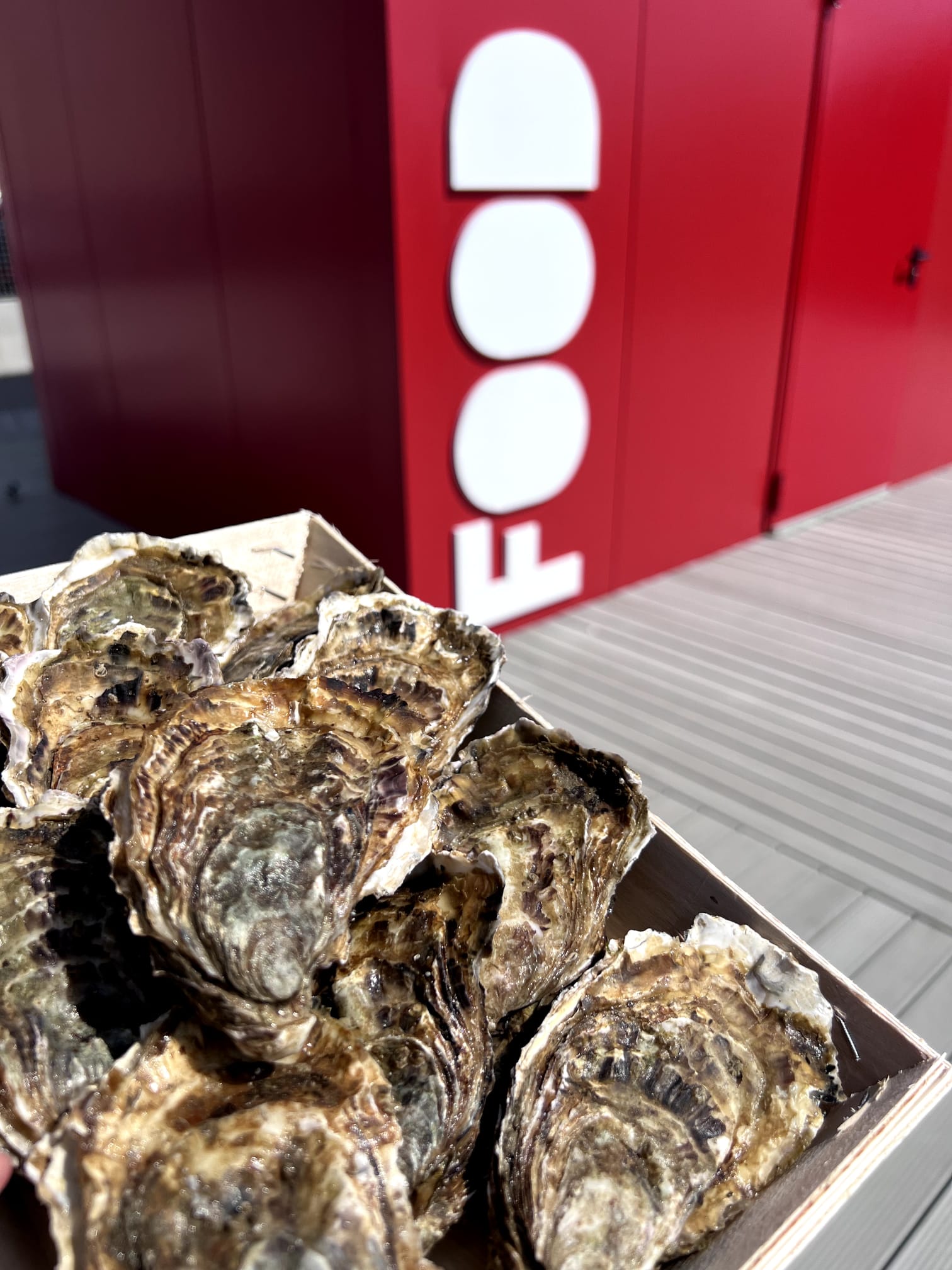 italian oyster festival 3
