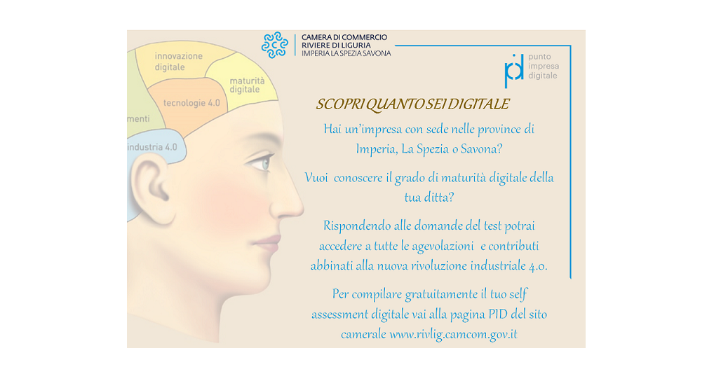 pid nuovo logo