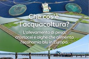 Feampa 2021-2027 Priorità, risorse finanziarie disponibili e gestione Feampa 2021-2027 Priorità, risorse finanziarie disponibili e gestione