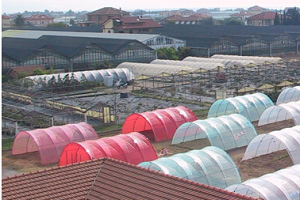 CeRSAA - azienda speciale della Camera di Commercio Riviere di Liguria - Avviso di selezione per l’istituzione di un elenco, con validità’ triennale, da utilizzarsi in caso di assunzioni a tempo determinato e pieno per operaio agricolo CeRSAA - azienda speciale della Camera di Commercio Riviere di Liguria - Avviso di selezione per l’istituzione di un elenco, con validità’ triennale, da utilizzarsi in caso di assunzioni a tempo determinato e pieno per operaio agricolo