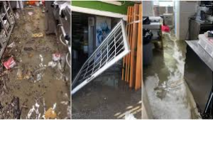 Polizze catastrofali - differito per le micro, piccole e medie imprese l'obbligo di stipulare contratti assicurativi. Rimane fermo al 1° aprile il termine per le grandi imprese