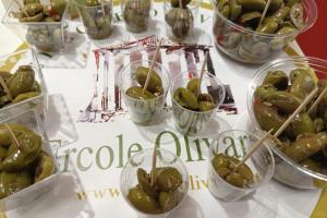 Ercole Olivario – Sezione Olive da Tavola 2026: al via la VI edizione del concorso nazionale logo evento