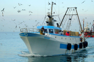 Nasce il nuovo Gal Fish Liguria: importante accordo per lo sviluppo e il rilancio dell’economia del mare Nasce il nuovo Gal Fish Liguria: importante accordo per lo sviluppo e il rilancio dell’economia del mare