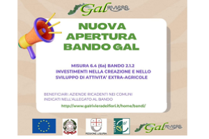 Bando GAL RIVIERA DEI FIORI - “Investimenti nella creazione e nello sviluppo di attività extra-agricole” Bando GAL RIVIERA DEI FIORI - “Investimenti nella creazione e nello sviluppo di attività extra-agricole”