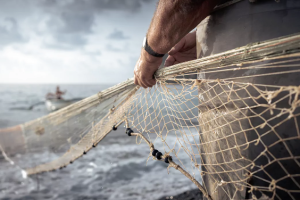 Avviso GAL FISH LIGURIA per affidamento incarico organizzazione ed erogazione iniziative formative pesca e acquacoltura