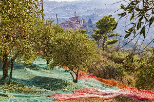 Il GAL Riviera dei Fiori incontra il territorio: iniziano le consultazioni con i partner pubblici e privati per raccogliere le prime esigenze del territorio Il GAL Riviera dei Fiori incontra il territorio: iniziano le consultazioni con i partner pubblici e privati per raccogliere le prime esigenze del territorio