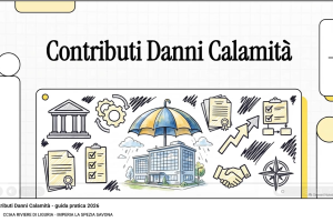  Guida pratica alle procedure per attività economiche, titolari di Partita IVA e professionisti che hanno subito danni causati da eventi calamitosi - video