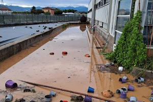 Regione Liguria - Maltempo, avviati i sopralluoghi nel savonese e nell’area metropolitana per il riconoscimento dello stato di emergenza per i danni provocati dalle piogge tra settembre e ottobre 2024 danni nel savonese allagamento serra