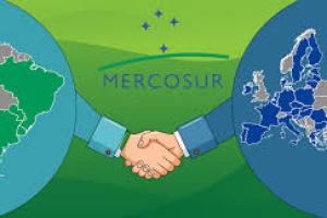 Commercio estero - Accordo interinale sugli scambi UE - Mercosur