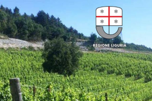 REGIONE LIGURIA Contributi per la viticoltura
