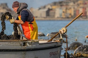Contributi per la pesca, presentazione delle domande entro il 30 marzo 2025 Contributi per la pesca, presentazione delle domande entro il 30 marzo 2025