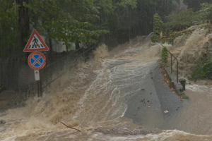 Eccezionali eventi meteorologici verificatisi nei giorni dal 3 al 5 ottobre 2021 nel Savonese - proroga al 28.6.2024 presentazione rendicontazione misura 1_2021 - D.P.Reg. Lig. N. 27/2023 Eccezionali eventi meteorologici verificatisi nei giorni dal 3 al 5 ottobre 2021 nel Savonese - proroga al 28.6.2024 presentazione rendicontazione misura 1_2021 - D.P.Reg. Lig. N. 27/2023