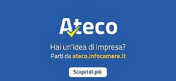 ateco infocamere blu