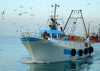 Nasce il nuovo Gal Fish Liguria: importante accordo per lo sviluppo e il rilancio dell’economia del mare