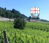 REGIONE LIGURIA Contributi per la viticoltura