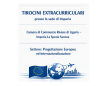 AVVISO DI SELEZIONE PER N. 2 TIROCINI EXTRACURRICULARI PRESSO AL SEDE DI IMPERIA DELLA CCIAA RIVIERE DI LIGURIA – IMPERIA LA SPEZIA SAVONA - Settore: Progettazione Europea ed Internazionalizzazione