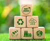pagina Transizione Energetica e Comunità Energetiche Rinnovabili (CER) con materiale informativo